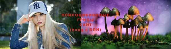 мдпв Нязепетровск